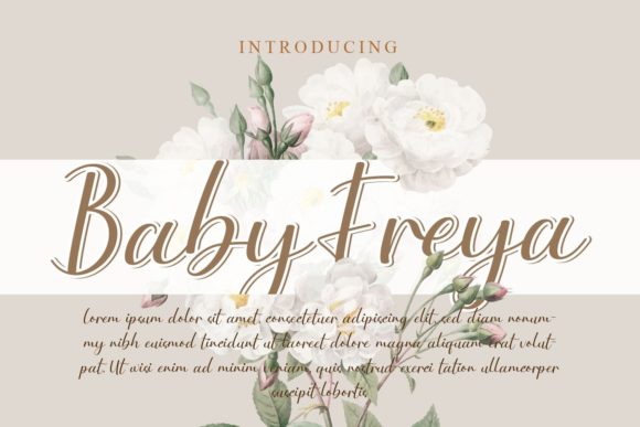 Baby Freya: A Elegant Handwritten Font