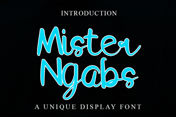 Mister Ngabs: A Delicate Script Font