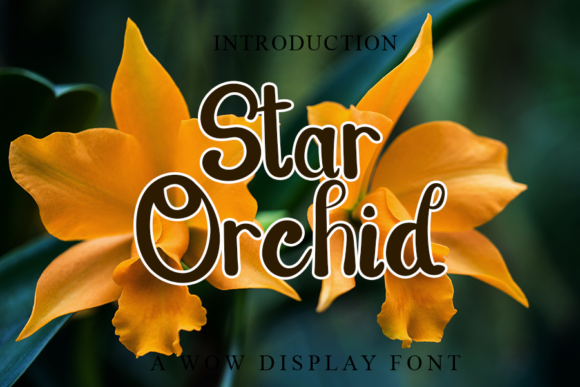 Star Orchid Font: Elegant Handwritten Style