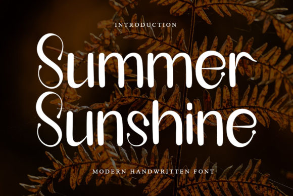 Summer Sunshine Font for Business
