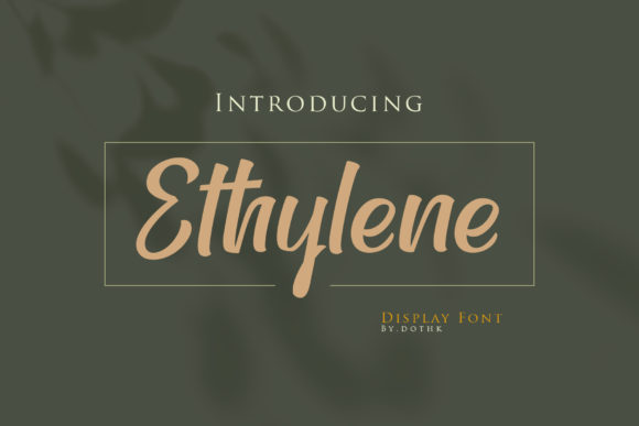 Timeless Handwritten Font for Branding